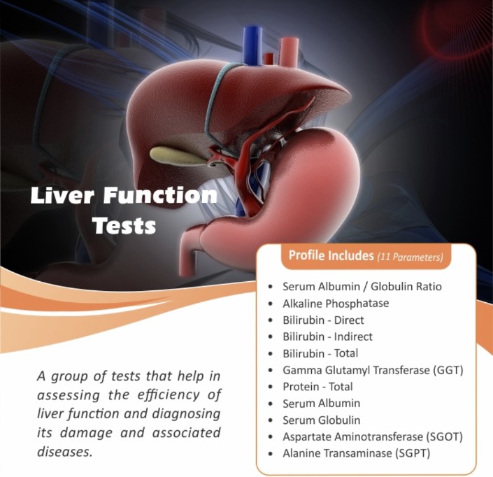 Liver Function Test
