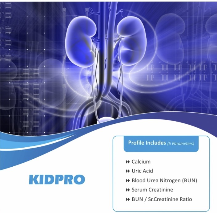 Kidney Function Test